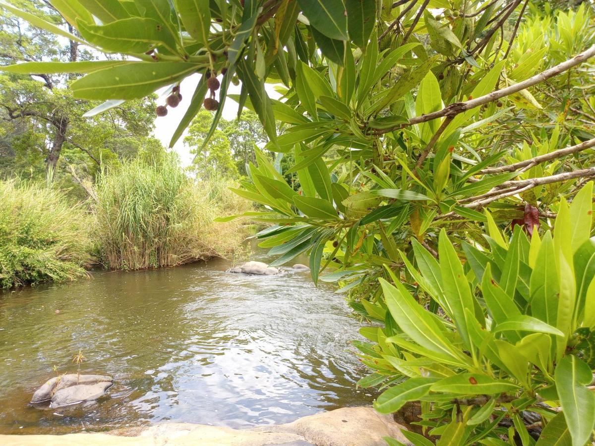 Blyde River Cabins โฮดสปรูท ภายนอก รูปภาพ