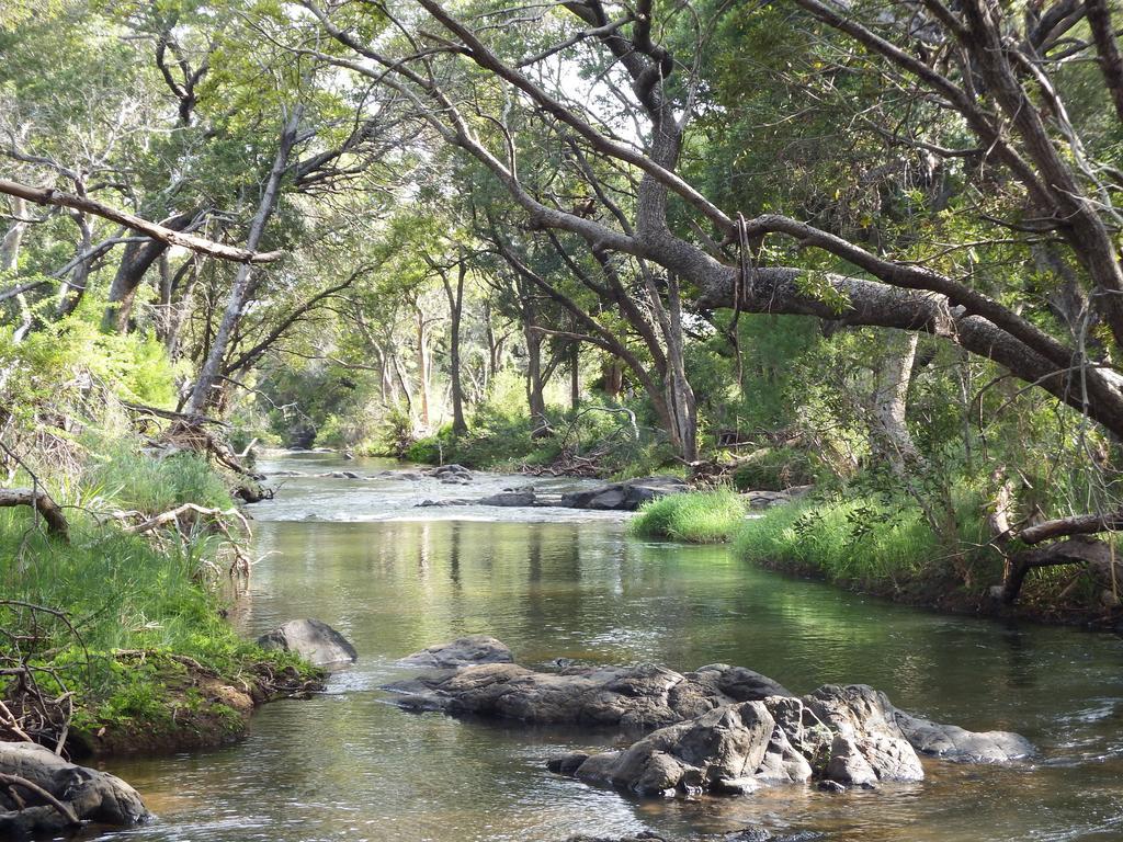 Blyde River Cabins โฮดสปรูท ภายนอก รูปภาพ